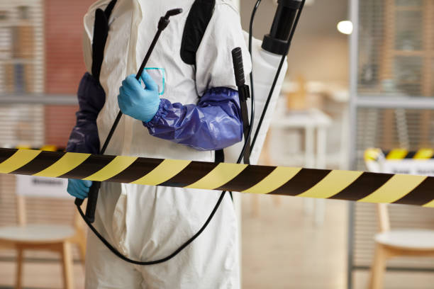 Professional Hoarding Cleanup technician working in Winslow, AR